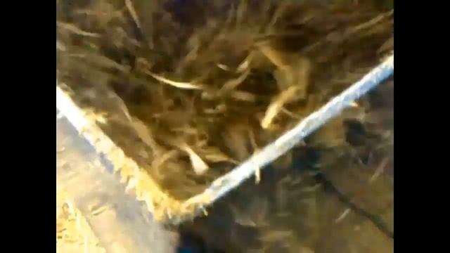 Измельчитель средний. смотреть онлайн