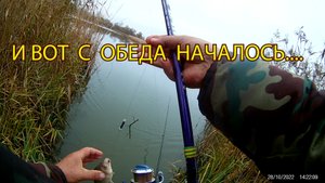 КАРАСЬ КАК С ЦЕПИ СОРВАЛСЯ И СОЖРАЛ ВСЕХ МОИХ ЧЕРВЕЙ.