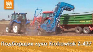 Подборщик лука Krukowiak Z-437