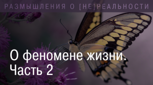 О феномене жизни. Жизнь как философская категория. Признаки жизни. Часть 2