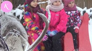 ?К деду морозу за подарком/Усадьба деда мороза/Резиденция деда мороза в Воронеже/Баба яга Воронеж