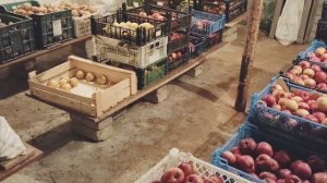 Этичный способ сохранить продукты от мышей, лайфхак #мыши #веган