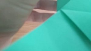 У Глоксинии? Созрели семена. Как их правильно собрать и не растерять
