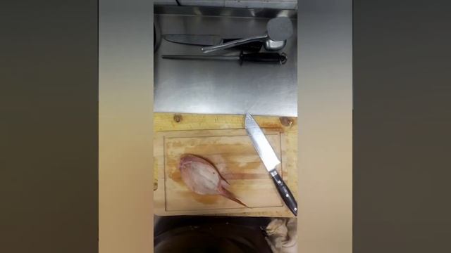 Морской окунь с овощами