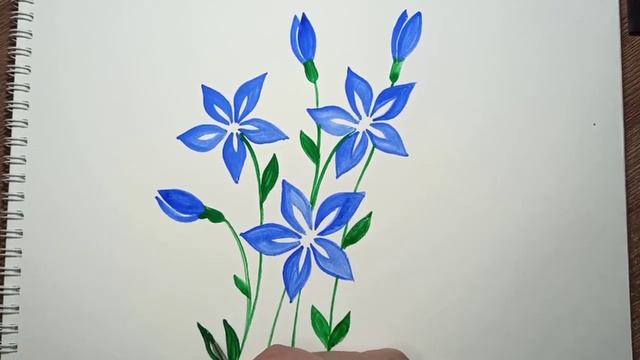 Как нарисовать цветы с пятью лепестками. смотреть онлайн