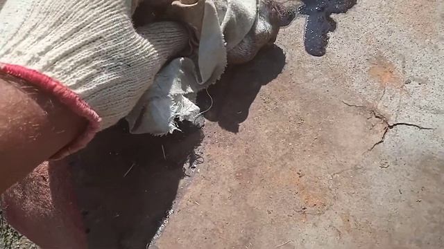 Клей от мышей Ваше хозяйство "Котофей" смотреть онлайн