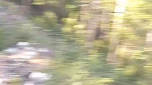 Работа геологами (золото ыныкчана)