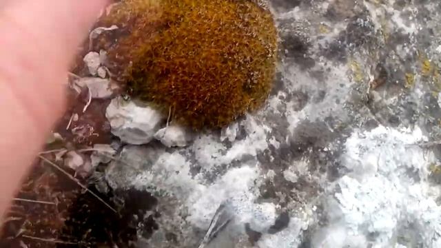 Куштау гора ( Шихан ) - весенний поход | 5.04.2014 смотреть онлайн