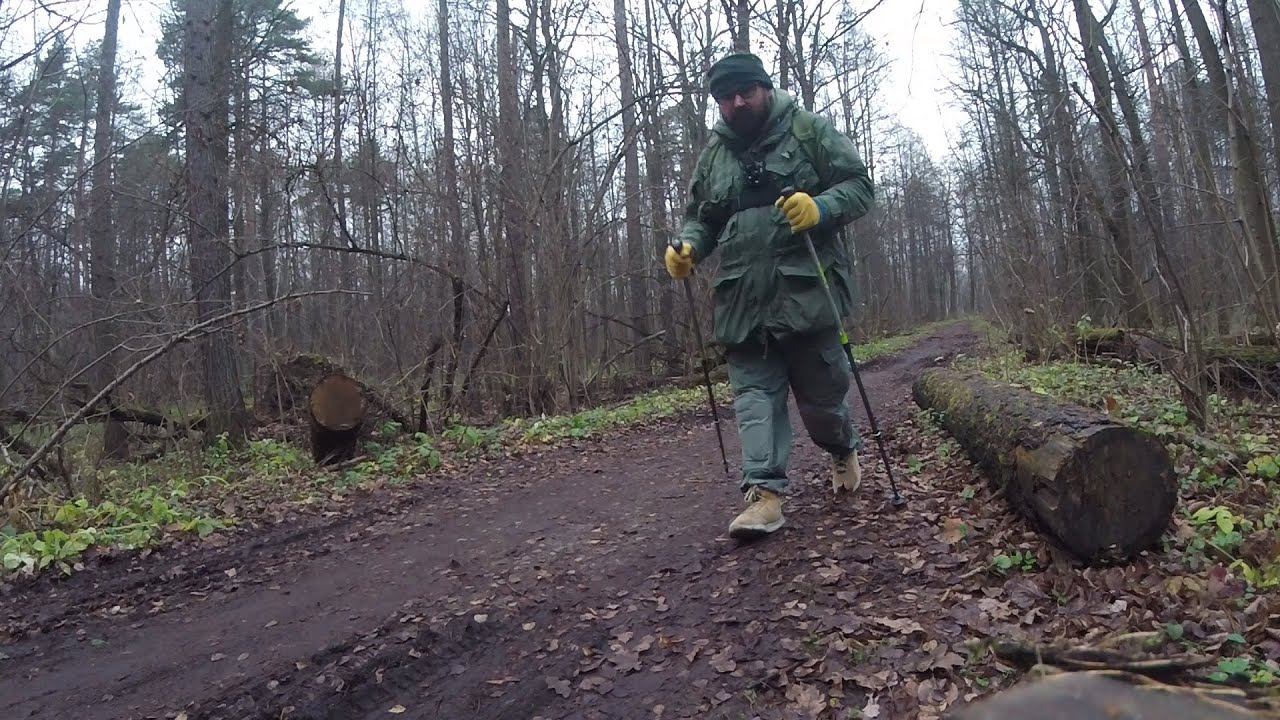 Лосиноостровский парк (тестирую трекинговые палки Leki trail antishock)