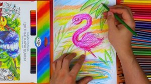 Как нарисовать ФЛАМИНГО цветными карандашами - ОБЗОР карандашей