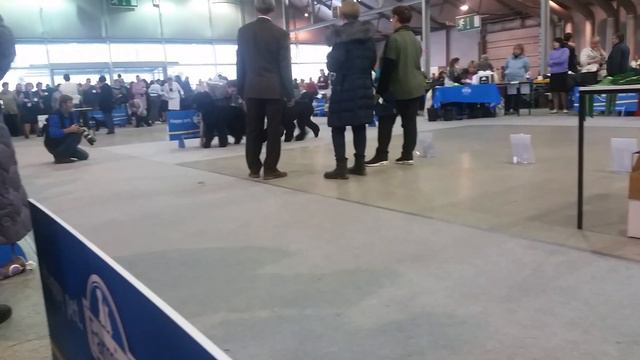 26 января 2019 г. МС Русская красавица смотреть онлайн