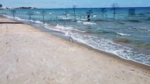 Школа кайтсерфинга | Обучение | кайтсерфинг | Kitesurfing | Северный Кипр