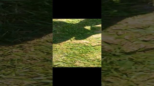 ю
