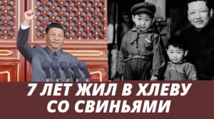 «Бросила жена и 7 лет жил в хлеву со свиньями». Неприятные факты из жизни Си Цзиньпина, о которых ма