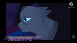 Коты Воители. 💙 Синяя Звезда 💙. Клип. ∆Знак Водолея∆