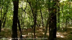 КТО ЭТО СТРОИЛ И РАЗРУШАЛ? гора БОЙКА - ОБЗОР развед-экспедиции.