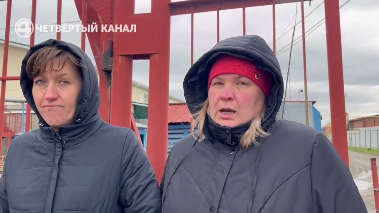 Работники Косулино в шоке! Молочный завод неожиданно для всех закрылся