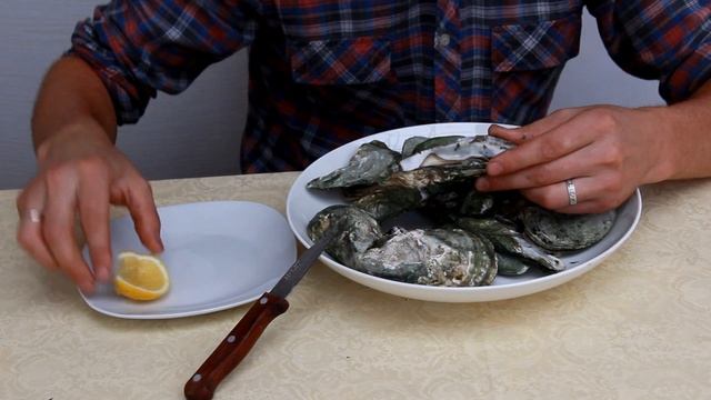 Устрица на вкус смотреть онлайн