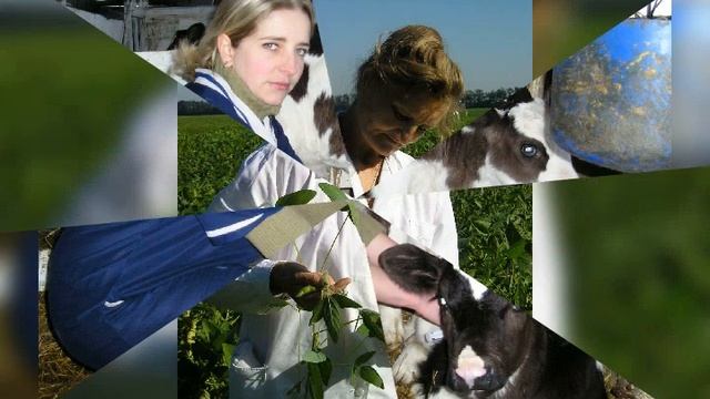 С.Красногвардейское р.Адыгея смотреть онлайн