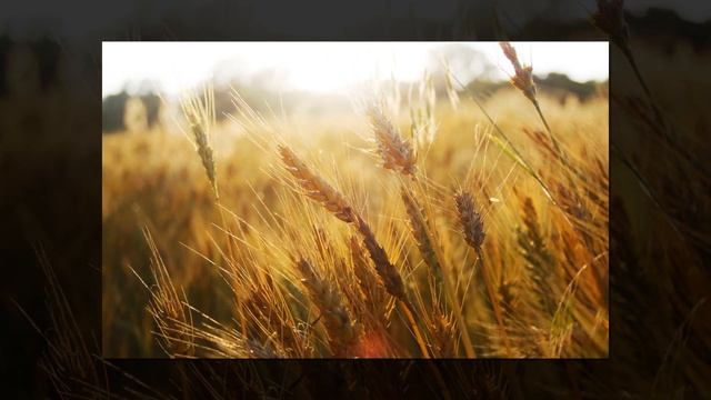 Марина Цветаева. Стихотворение "Поэт" смотреть онлайн