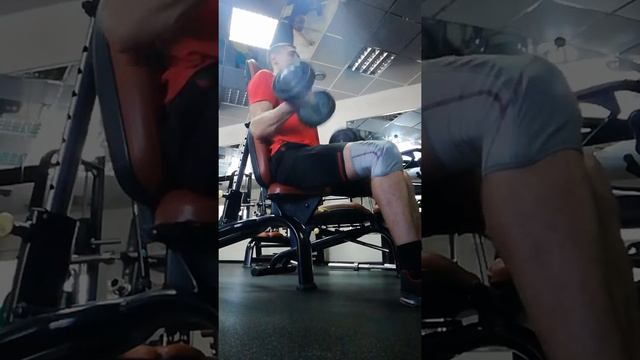 Бицепс 12 кг