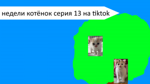 Недели котёнок серия 13 на tiktok