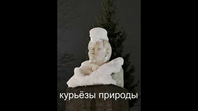 новогодний сюрприз от природы