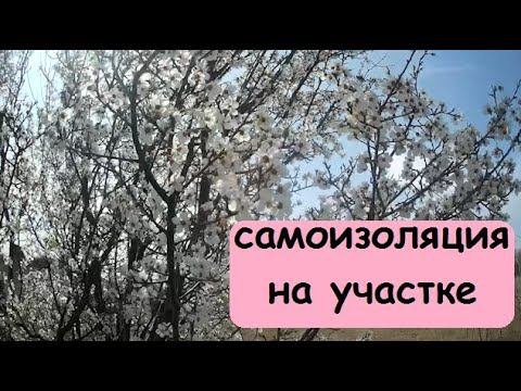Самоизоляция на участке