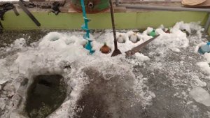 Пруд в теплице зимой! / Как дела в теплице с прудом!?