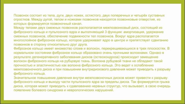 Анатомия позвоночника и спинного мозга