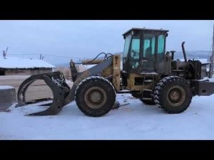 В Иркутской области сотрудники полиции с поличным задержали чёрных лесорубов