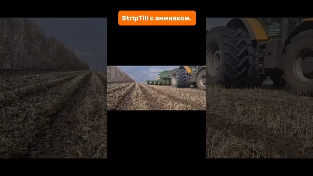 StripTill с аммиаком. #tillage