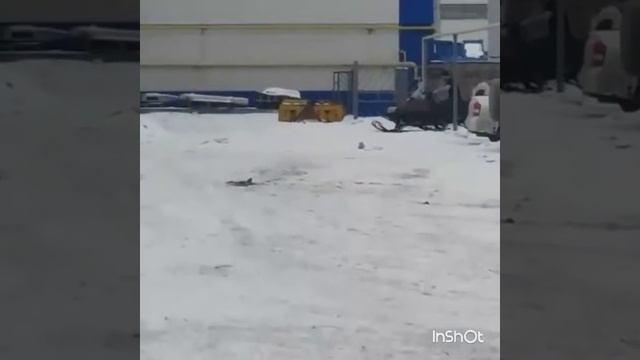 Замена гусянки смотреть онлайн