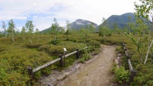 【阿寒摩周国立公園】つつじヶ原探勝路から硫黄山へ【FLYCAM C5】｜Tsutsujigahara Trail