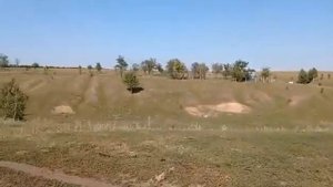 Калмыцкий скот в Диком поле от Р.Каримова. Часть 2.