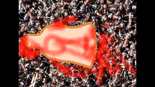 Песня формалин смотреть онлайн