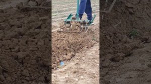 dehkoni  asri 21.Чудо лопата, удобная лопата для копки земли