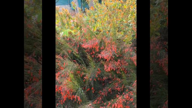 Анна Каренина.6.3Глава. смотреть онлайн