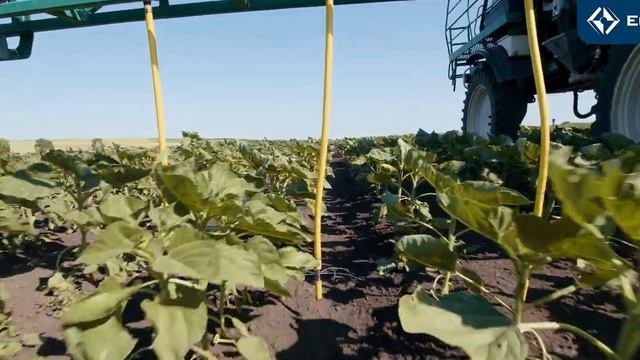 Жидкое удобрение КАС-32, рекомендации по применению: кукуруза, подсолнечник, сахарная свекла, соя,