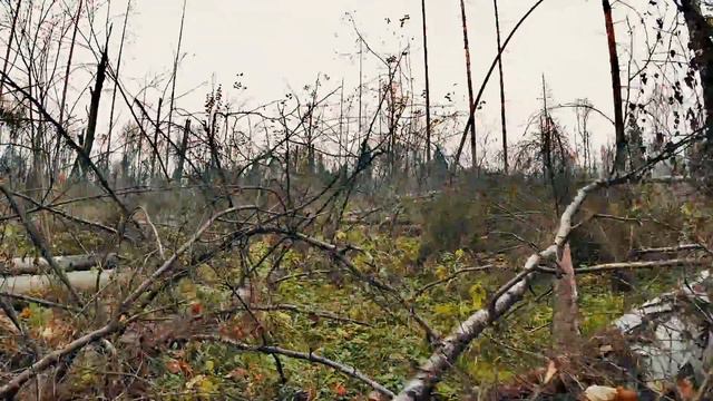 Ветровал смотреть онлайн