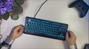 Нашел для себя идеальную клавиатуру - SteelSeries Apex 3 TKL