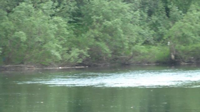 Инта/Заросший городской пляж (за ул.Северная)/Было время смотреть онлайн