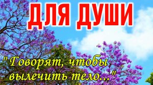 С Добрым утром! Трогательный стих. ГОВОРЯТ, ЧТОБЫ ВЫЛЕЧИТЬ ТЕЛО...Красивое стихотворение о жизни!