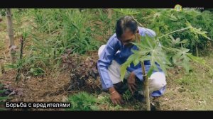 Пермакультура -  основа жизни!