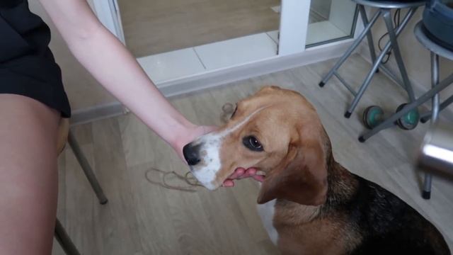 ПРИЕХАЛА В ЧЕРКАССЫ НА ЛАЗЕРНУЮ ЭПИЛЯЦИЮ ✨ УЖИН С МАМОЙ И БАБУШКОЙ ? ЕДЕМ НА МОРЕ! смотреть онлайн