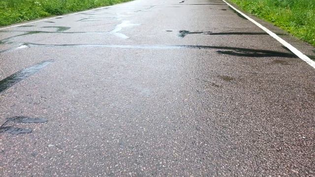 Гигантская улитка на дороге смотреть онлайн