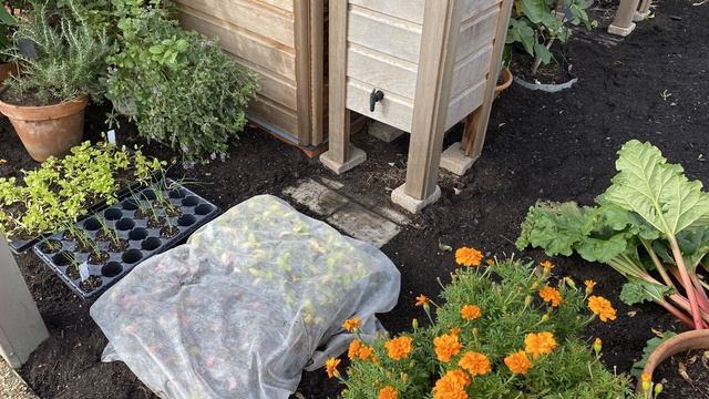 Vlog 332 - Праздник урожая по - английски…. смотреть онлайн