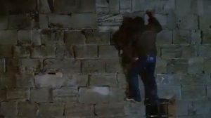 Чудовище, Франция, 1977  (Жан-Поль Бельмондо)