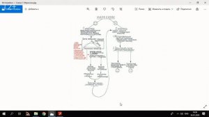 Что такое марксизм и как он навсегда изменил Россию