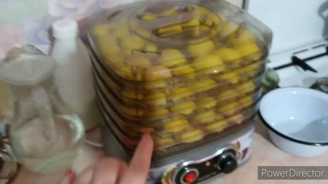 Заболели всей семьёй/Занимаемся домашними делами. смотреть онлайн